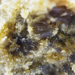 Shatter Noir 72% CBD - La Terpènerie - concentré