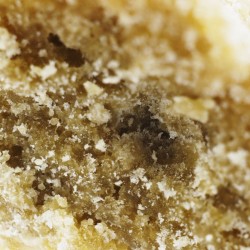 Shatter Clair 80% CBD - La Terpènerie - concentré