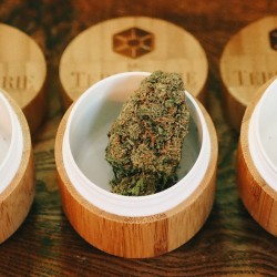 Petite boîte en bambou hermétique- La Terpènerie -  2 à 4 grammes